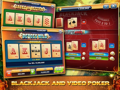 jiliko casino online